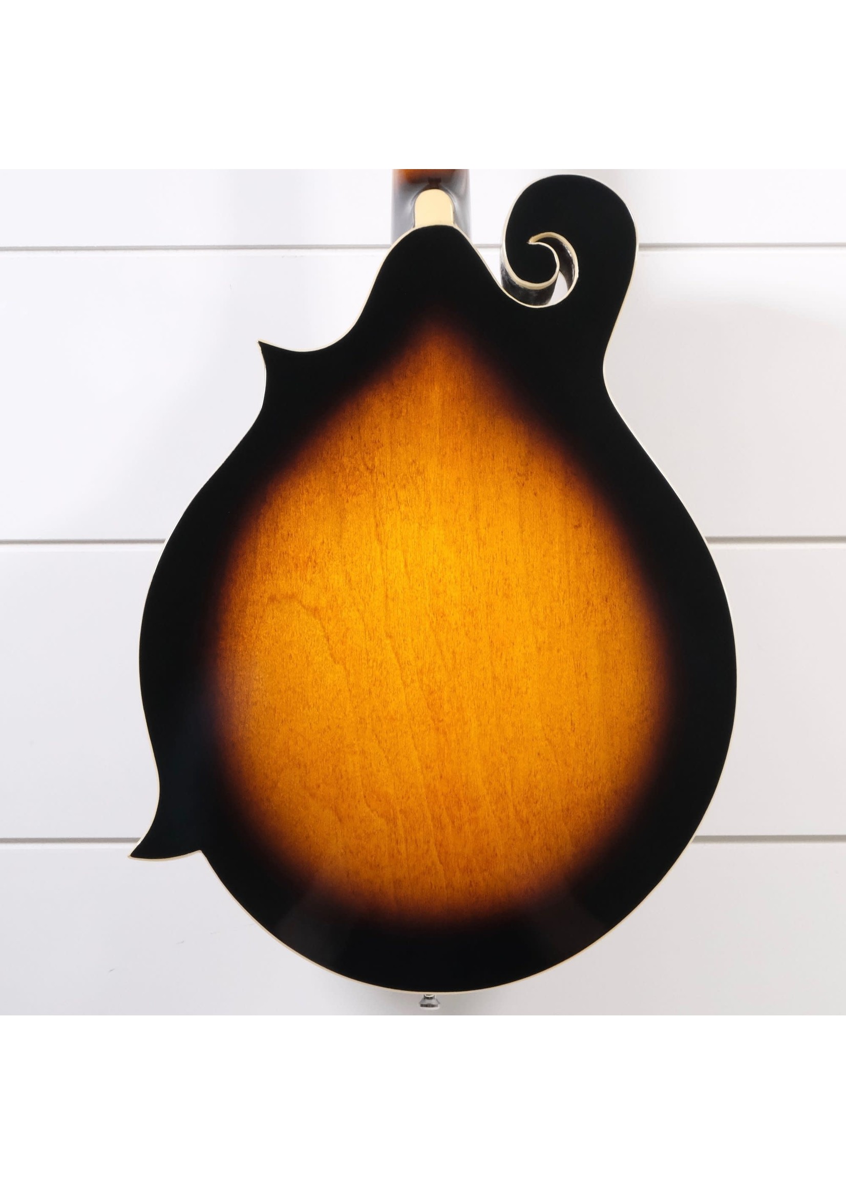 Gold Tone Gold Tone GM-35 F-Style Mandolin