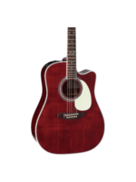 Takamine Takamine JJ325SRC John Jorgenson Signature Acoustic-Electric Guitar with Hard Case