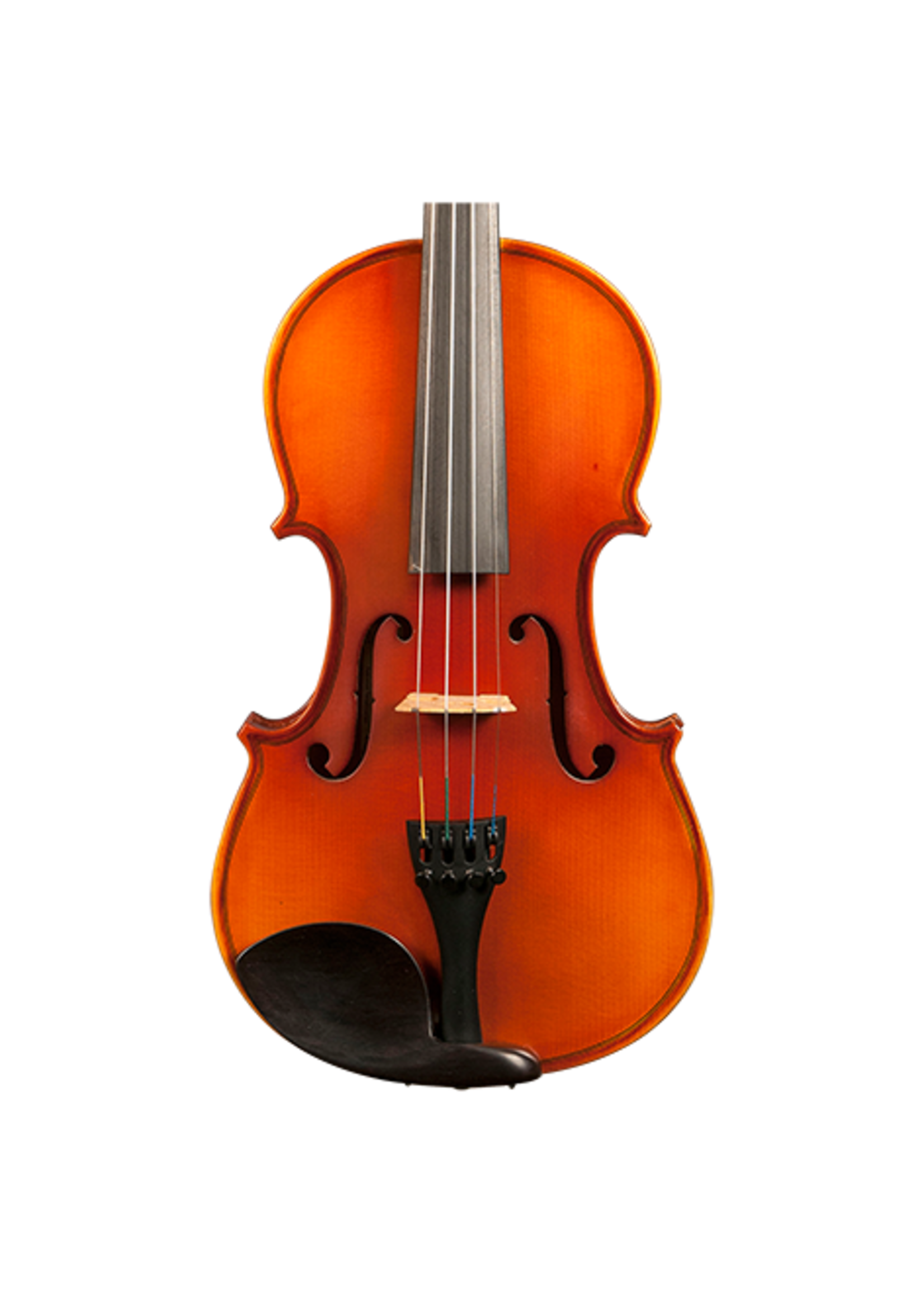 Gatchell Ametto CV150 4/4 Violin Outfit