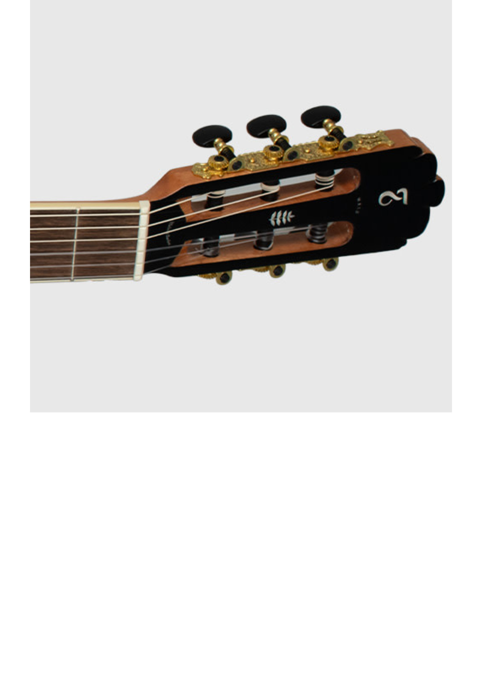 Tagima Tagima WS 10 EQ-DBS Nylon String Acoustic Electric Guitar w/ Cutaway Drop Sunburst Gloss