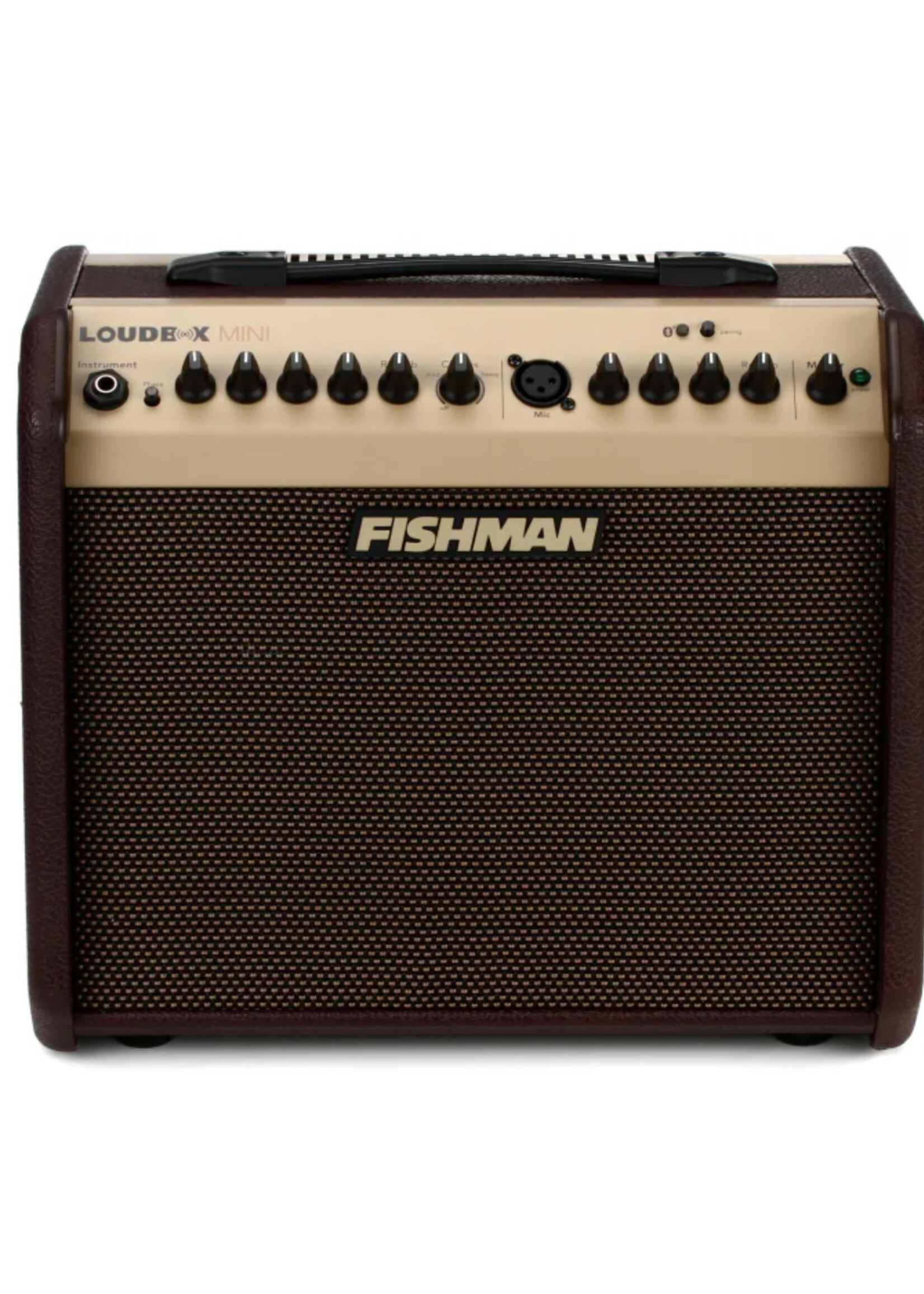 Fishman FIshman LOUDBOX MINI + BT, US 120V