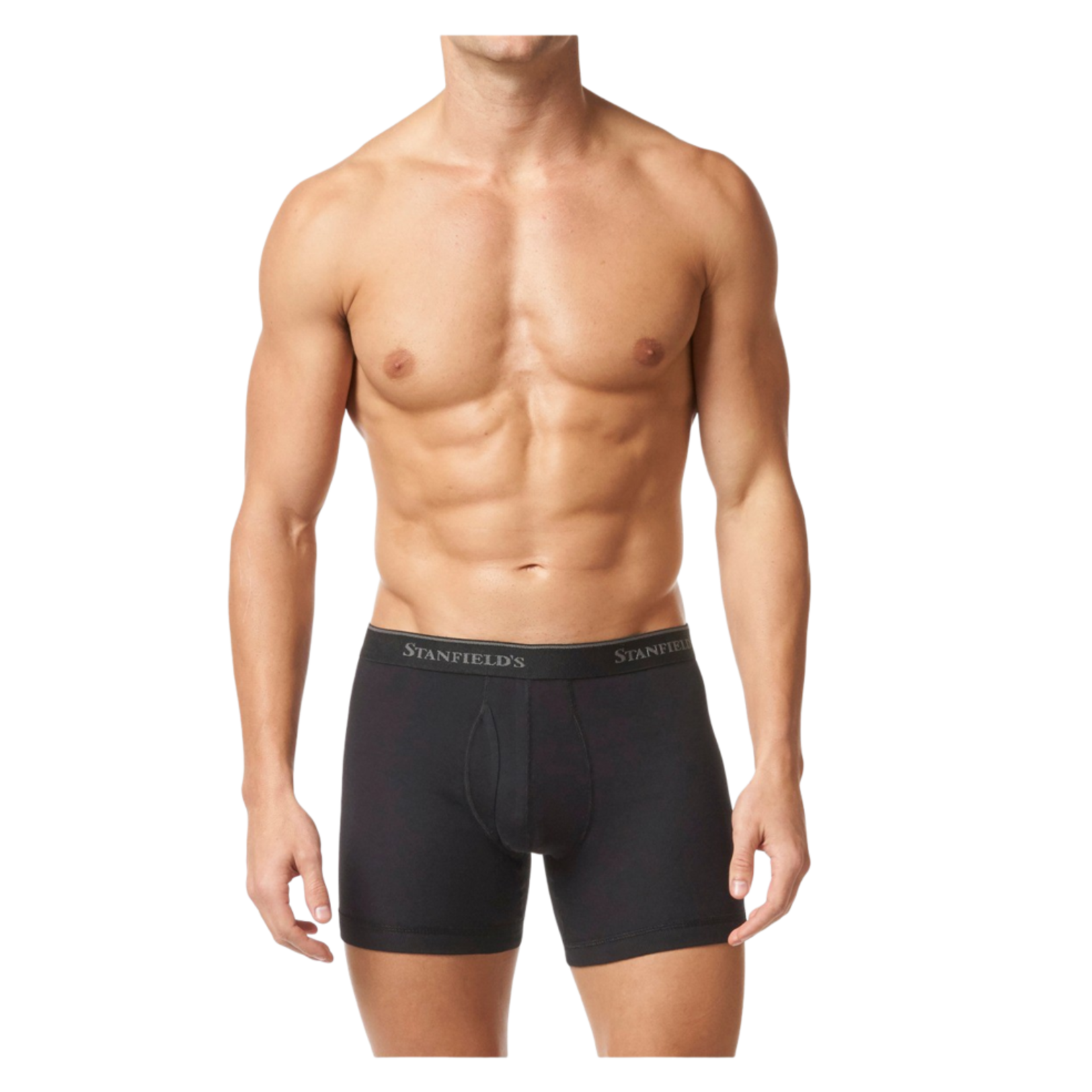 Stanfields Stanfield's 2510 2-Pack Boxer Briefs