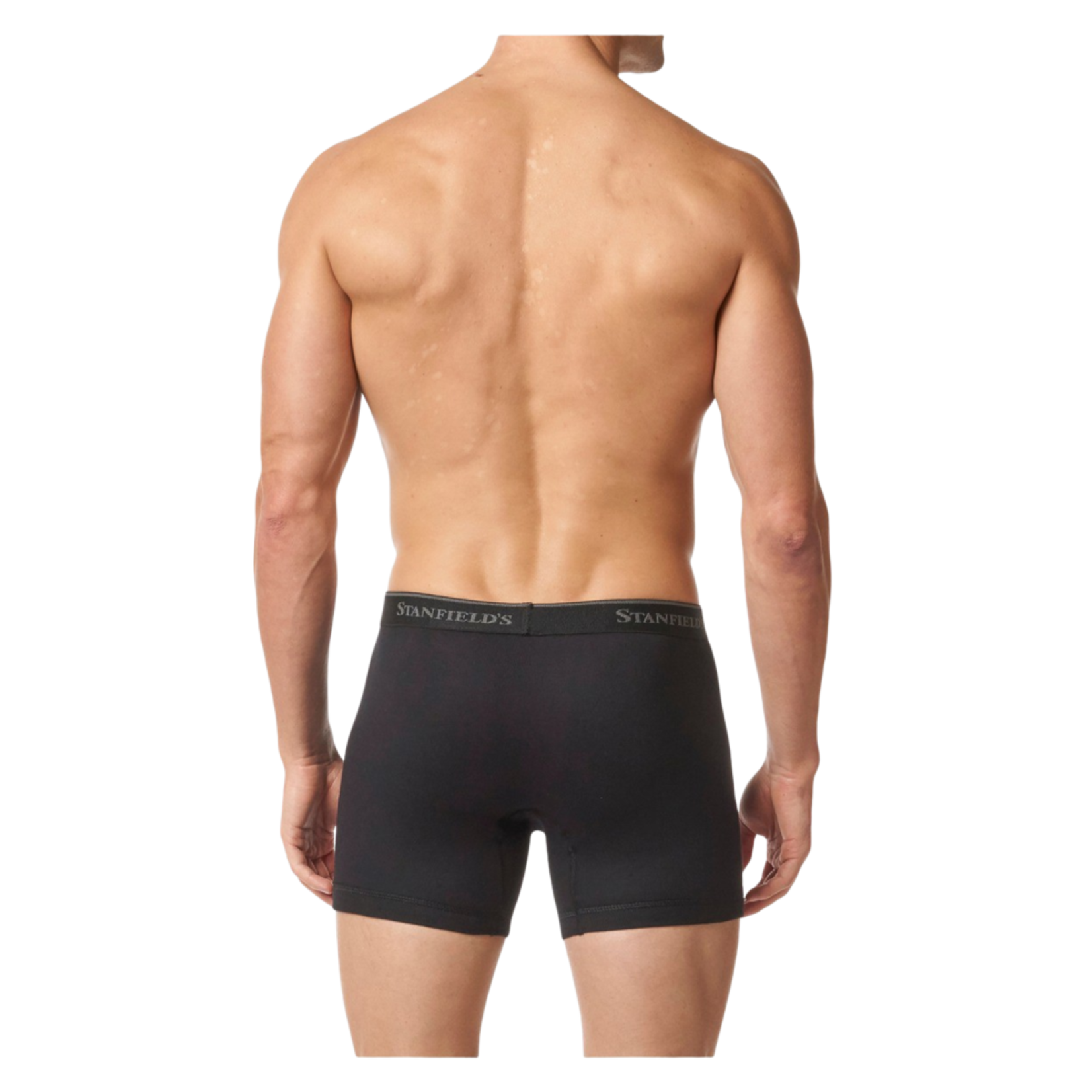 Stanfields 2510 2-Pack Boxer Briefs - Baker Street Menswear