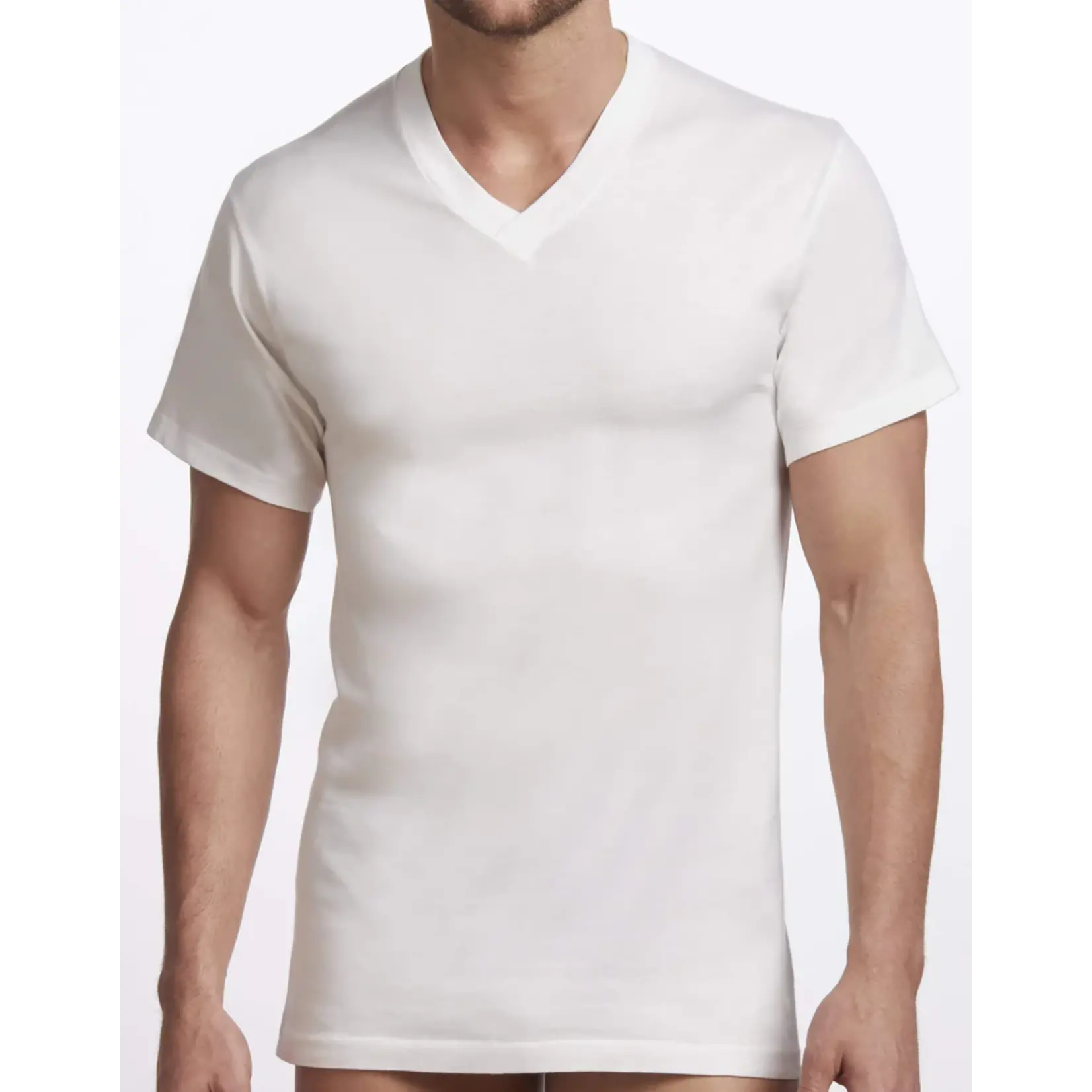 Stanfield's Stanfields 2570 2-Pack V-Neck T-Shirt