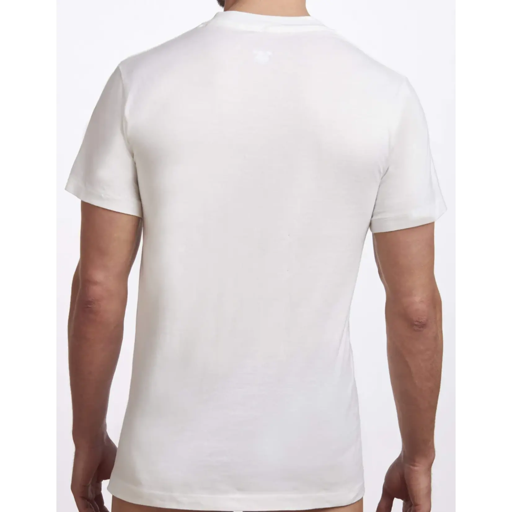 Stanfield's Stanfields 2570 2-Pack V-Neck T-Shirt