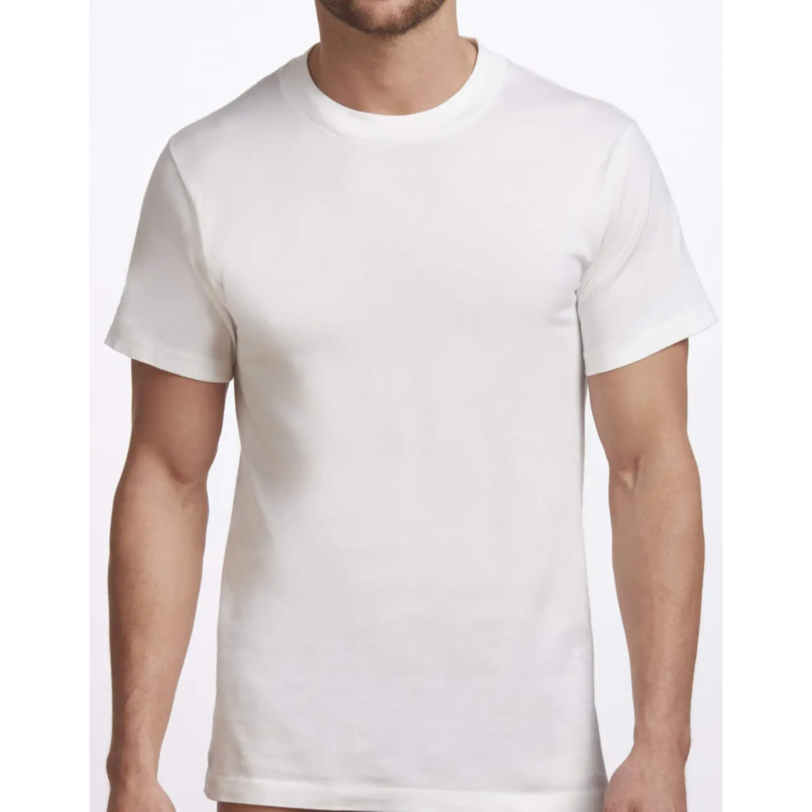 Stanfield's Stanfield's 2572 2-Pack Crewneck T-Shirt