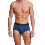 Stanfield's Stanfields 2503 3-Pack Brief - 3 Colors