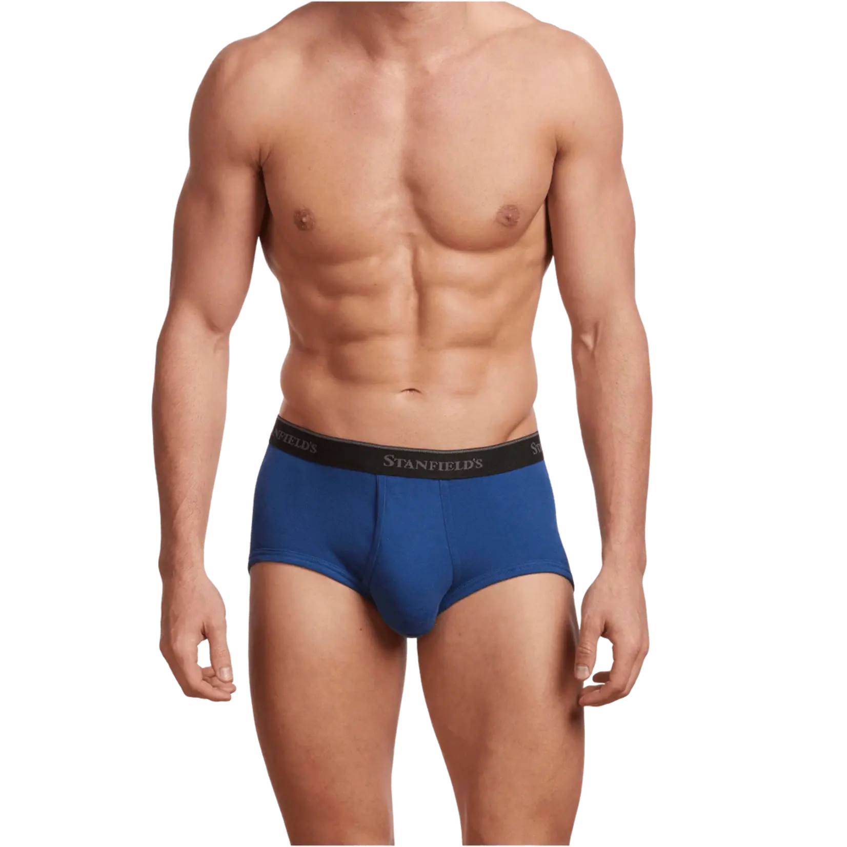 Stanfield's Stanfields 2503 3-Pack Brief - 3 Colours available