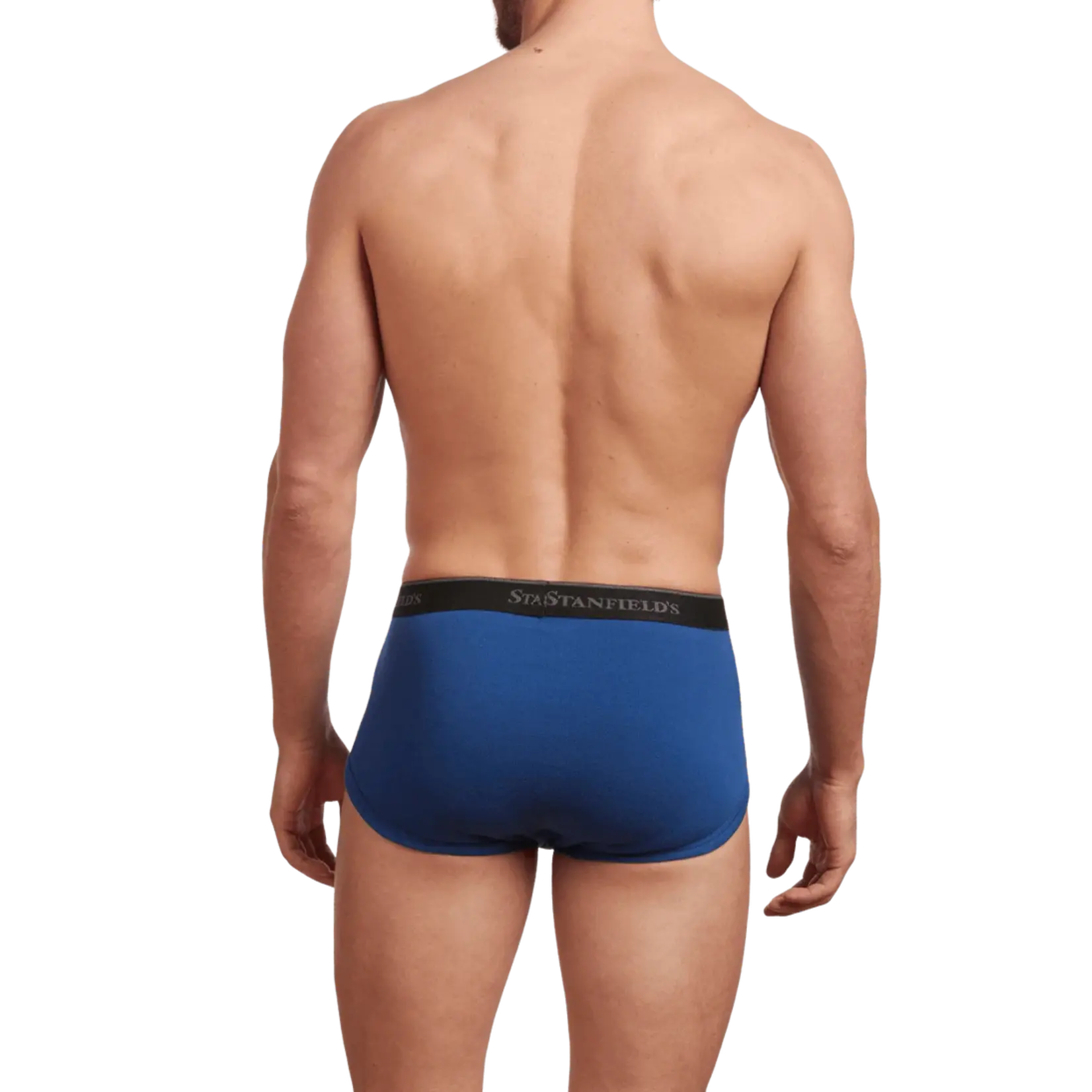 Stanfield's Stanfields 2503 3-Pack Brief - 3 Colours available