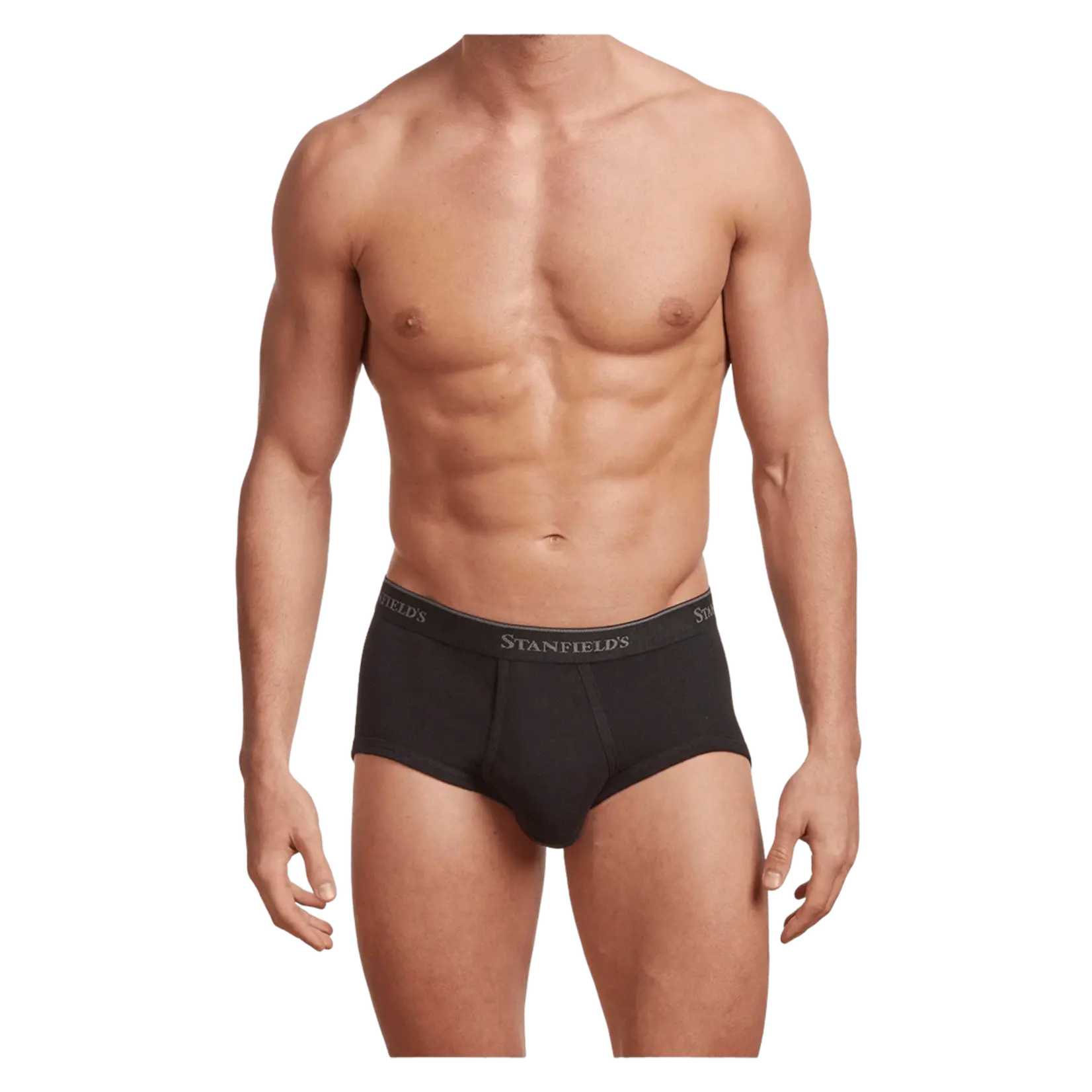 Stanfield's Stanfields 2503 3-Pack Brief - 3 Colors