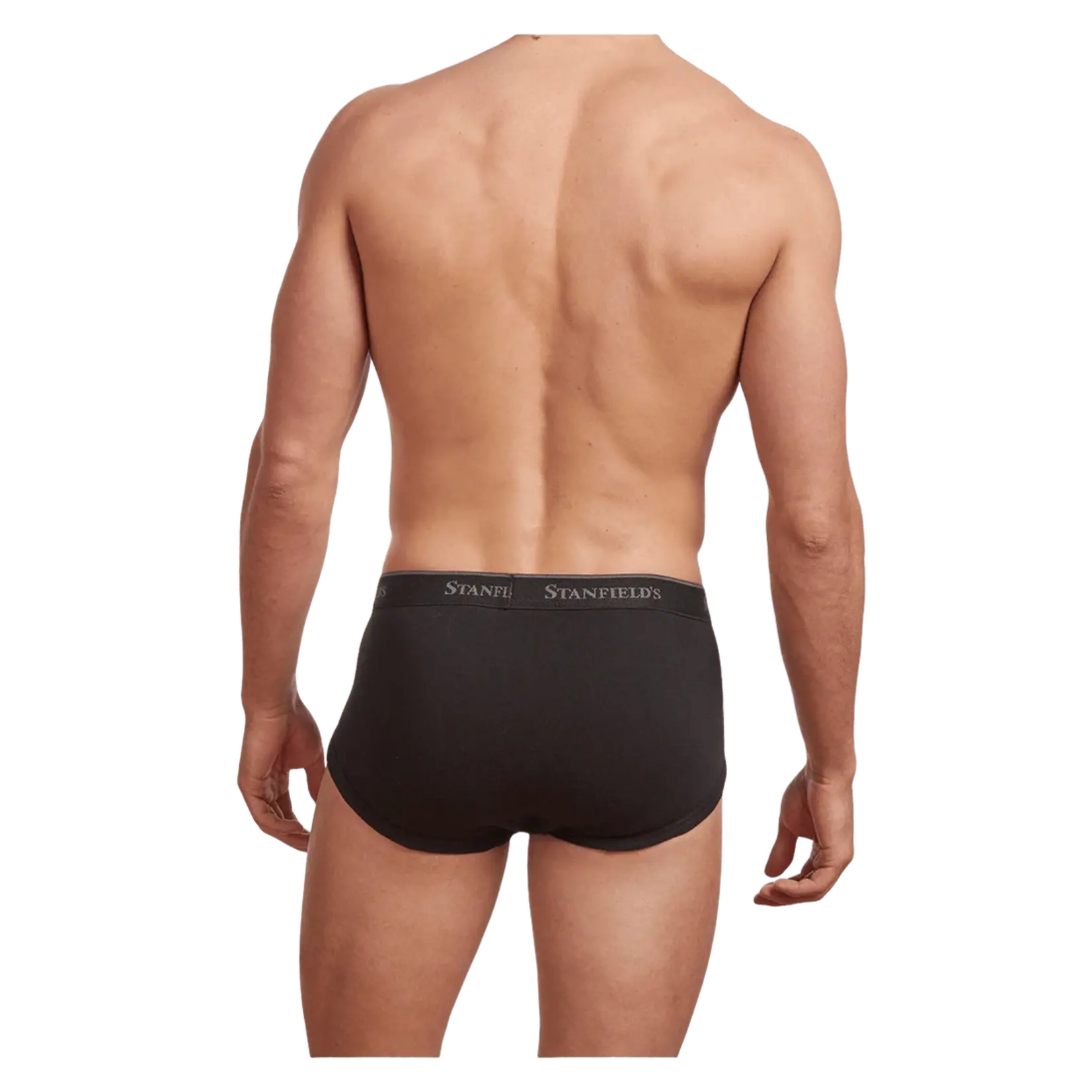 Stanfield's Stanfields 2503 3-Pack Brief - 3 Colors