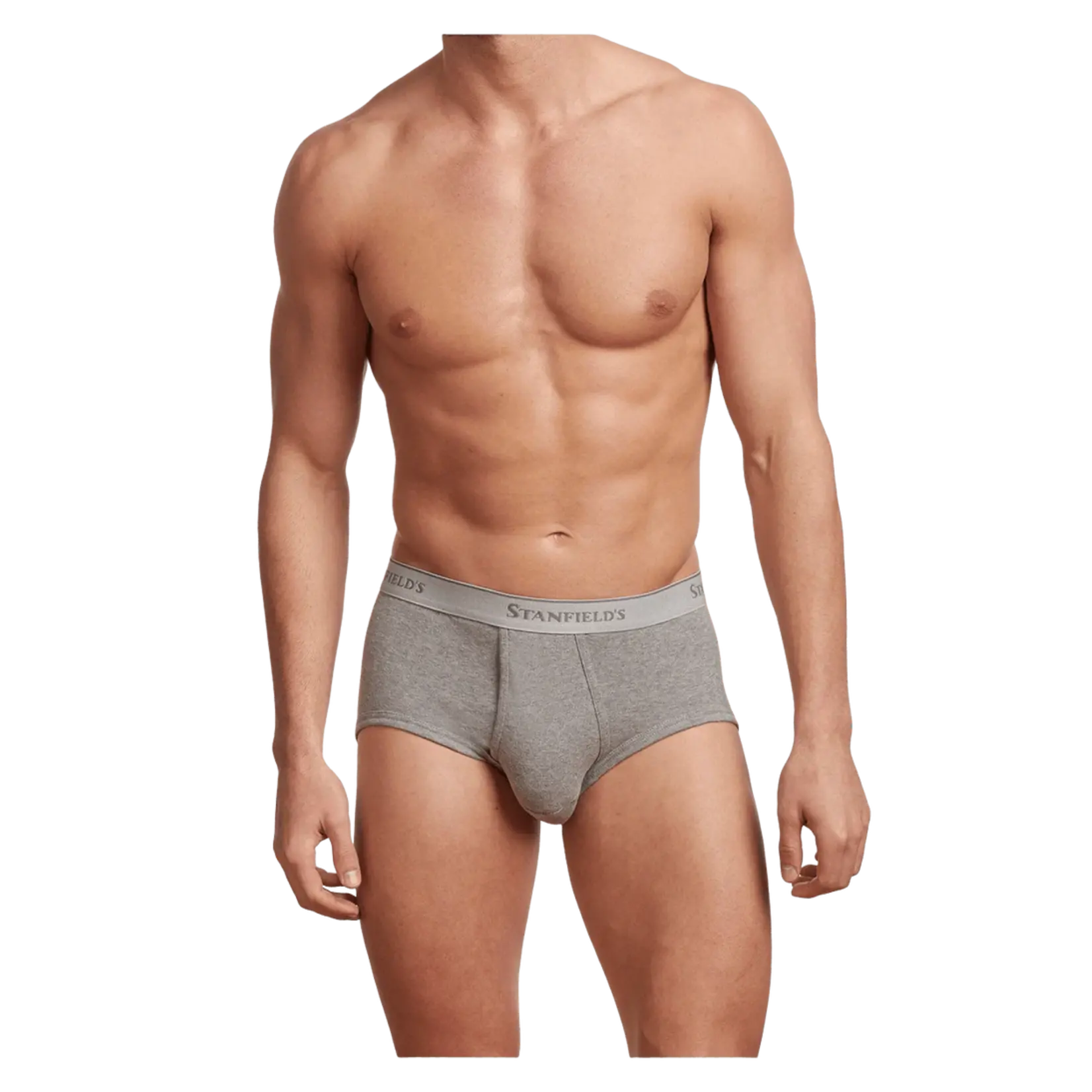 Stanfield's Stanfields 2503 3-Pack Brief - 3 Colors