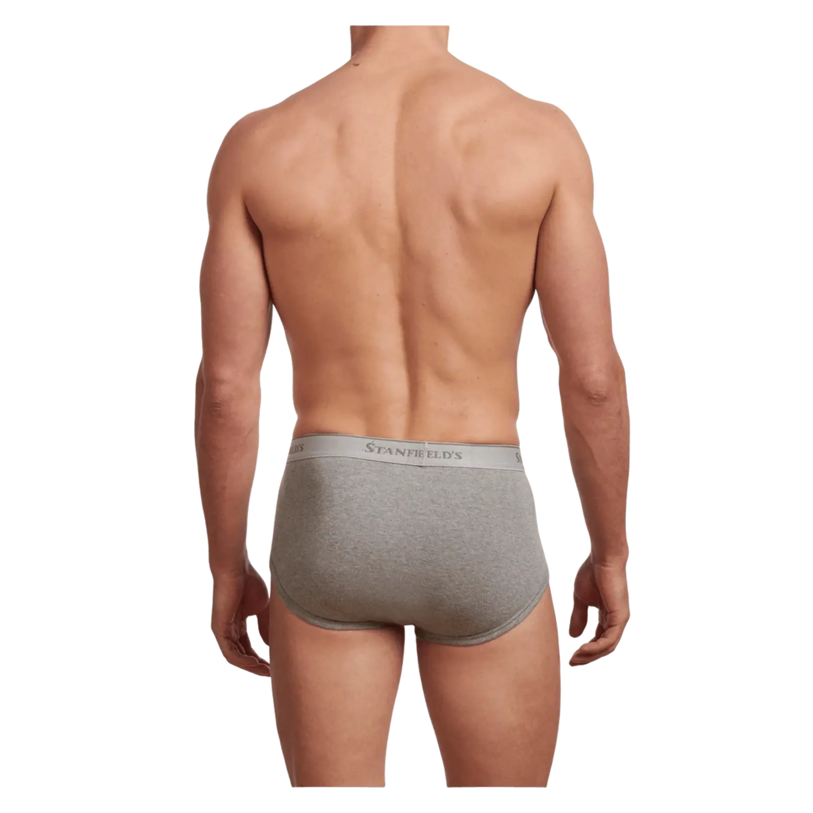 Stanfield's Stanfields 2503 3-Pack Brief - 3 Colors