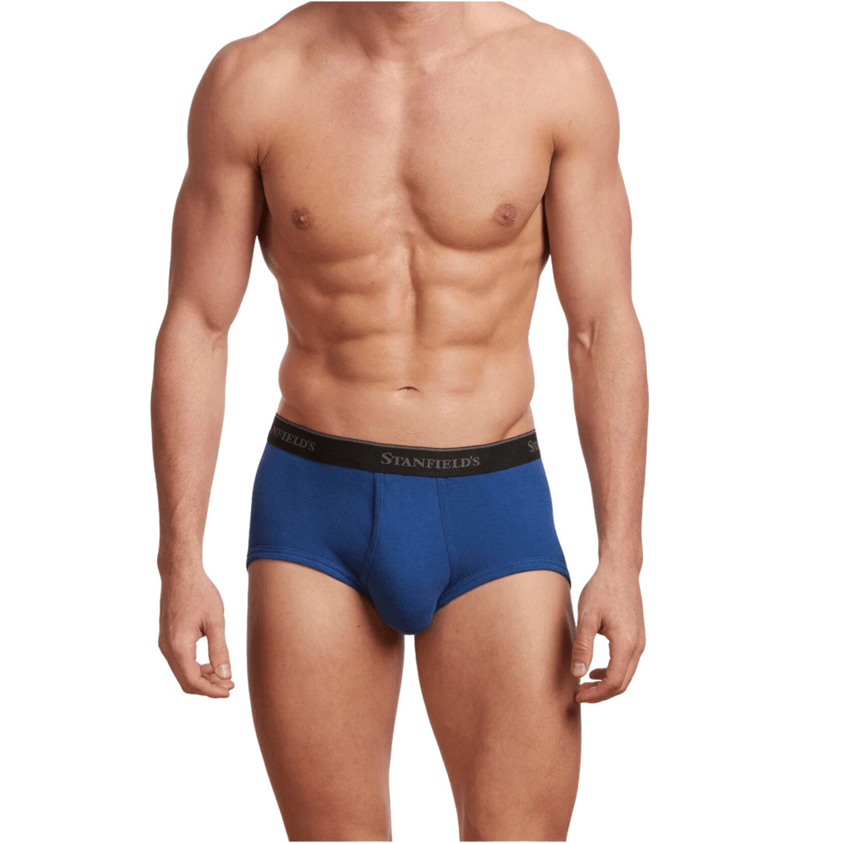 Stanfield's Stanfields 2503 3-Pack Brief - 3 Colours available