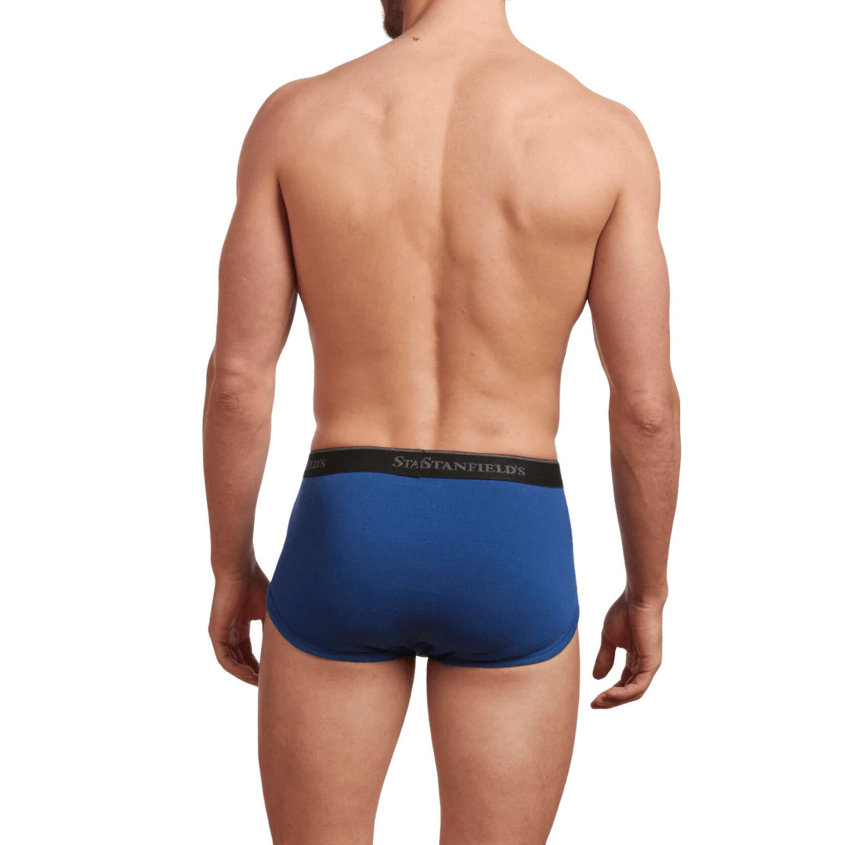 Stanfield's Stanfields 2503 3-Pack Brief - 3 Colours available
