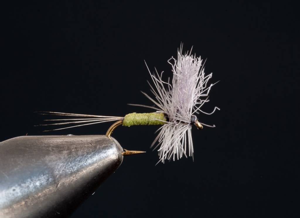 Razor Mayfly