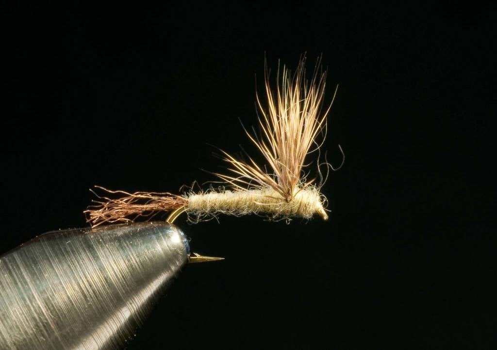 Michigan Blue Ribbon Fly Fishing Guide – Whitetail Fly Tieing Supplies