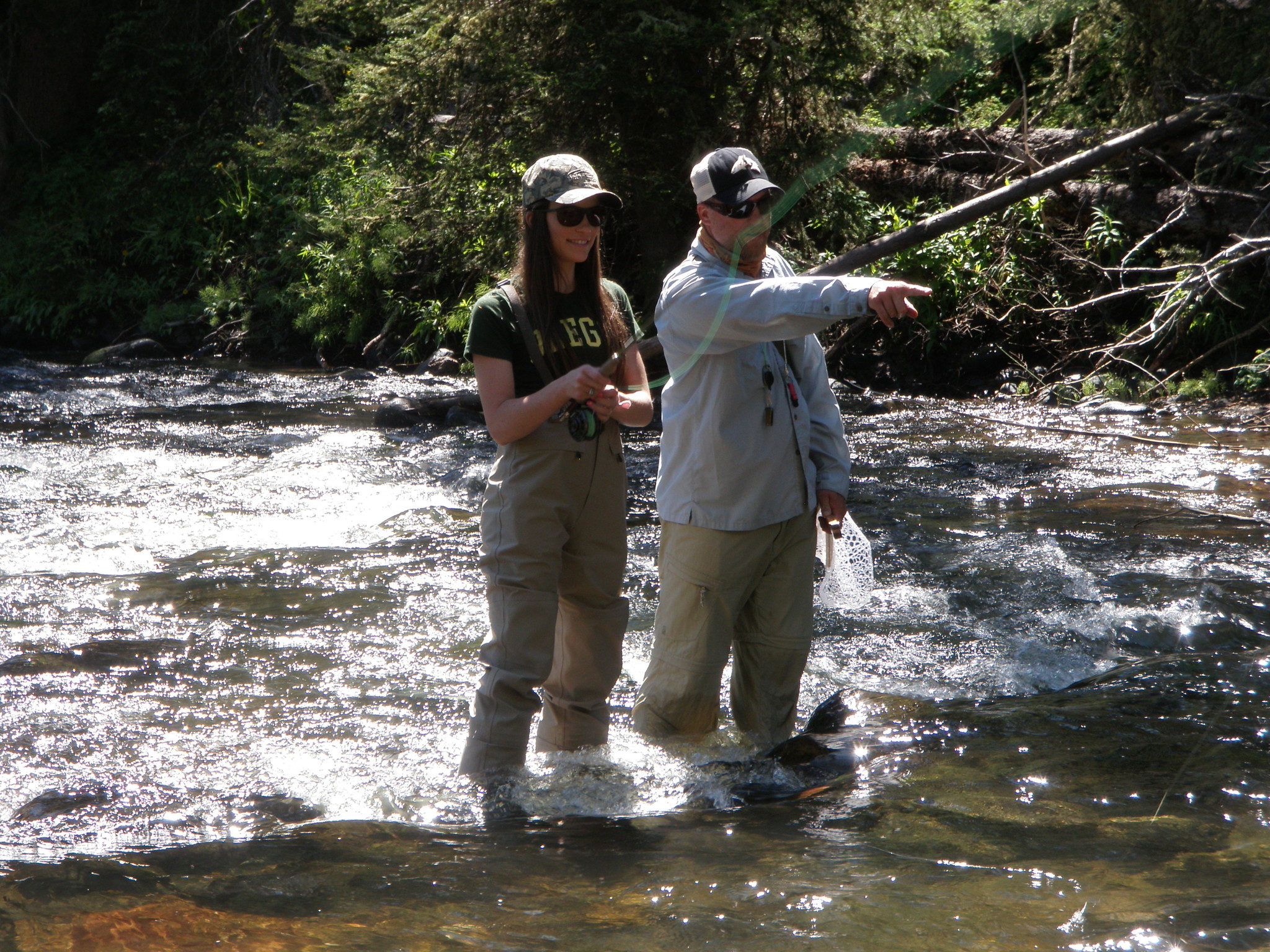 Walk/Wade Trips - Blue Ribbon Flies