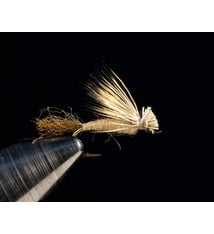 MTP Elk Hair Caddis Dry Fly - BWCflies Australia