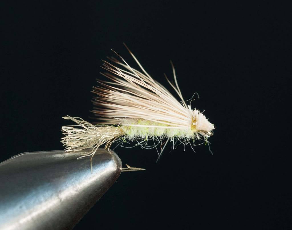 X Caddis