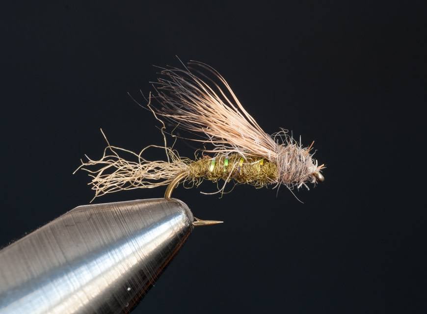 X2 Caddis