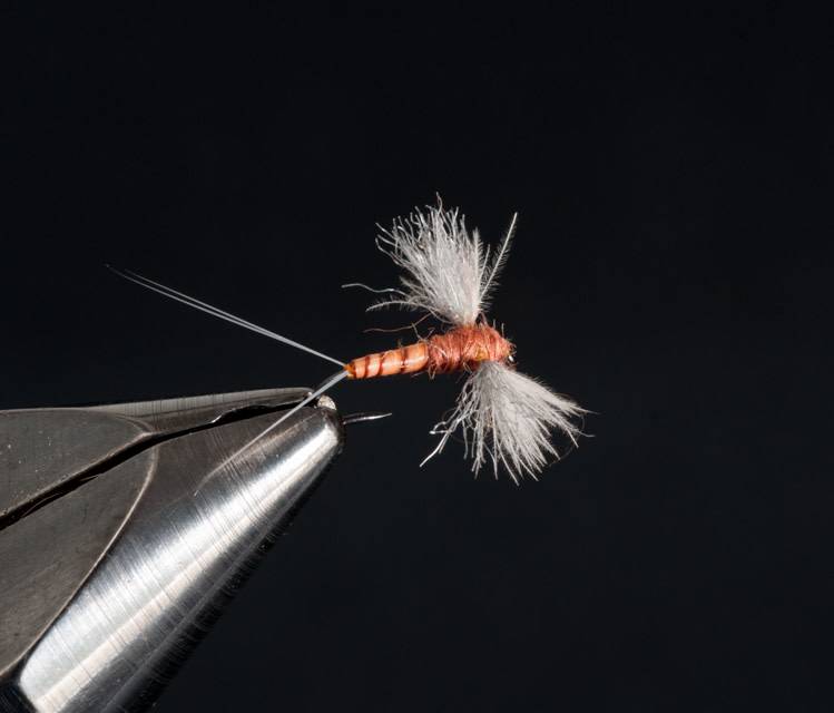 Spinner - BWO CDC Biot, Fly Fishing Flies For Less