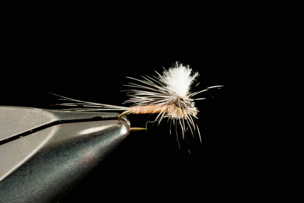 CDC Para-spinner BWO
