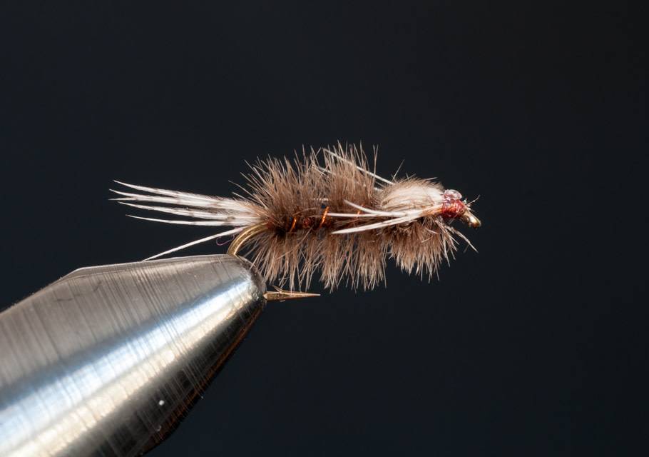 Feather Duster 16 - Blue Ribbon Flies