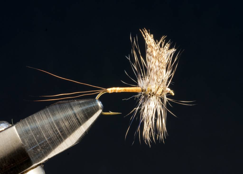 Hackle Spinner