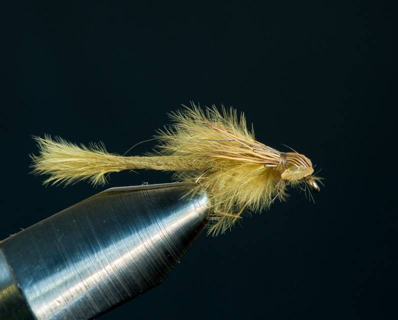 Marabou Damsel Nymph