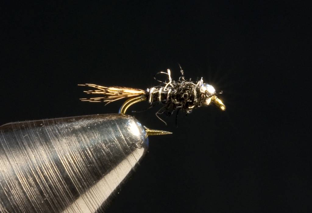Micro Madison