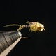 Micro Mayfly