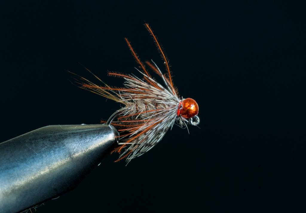 Orange Crush