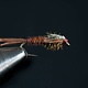 Flashback Pheasant Tail