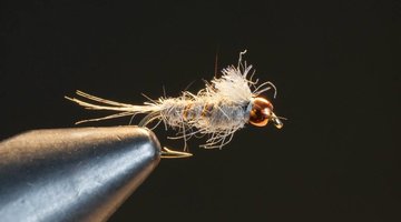 Aaron's Callibaetis Nymph