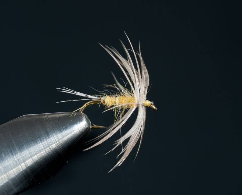 PMD Soft Hackle 16