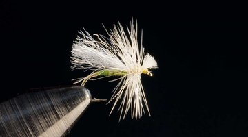 Fluttering White Miller