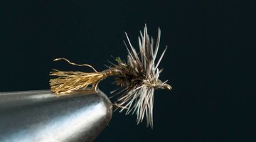 Griffith's Gnat Emerger