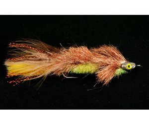 ルアー・フライ A FLY FISHER'S VIEW - Kenshiro Shimazaki アマゾンに夢を追う。 | ARTICLES | FlyFisher ONLINE フライ