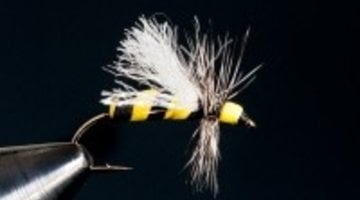 Dry Fly Tying Videos - Blue Ribbon Flies