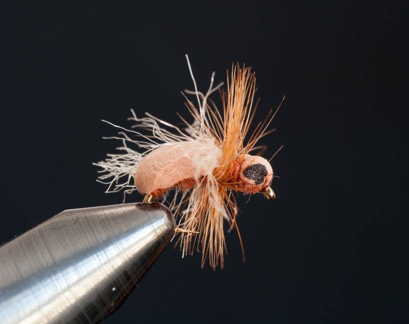 Foam Caddis Fly Pattern, Flies Fishing Foam Ant