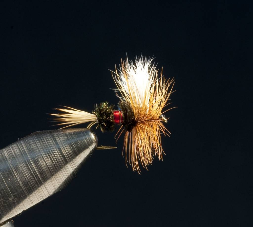 Royal Wulff Fly Lines for Sale
