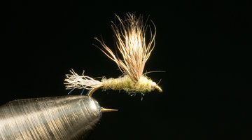 Fly Tying Videos