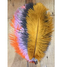 Ostrich Plumes 14"-16"