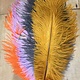 Ostrich Plumes 14"-16"