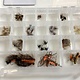 Meiho Clear Storage Case
