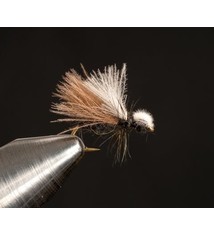 Shimazaki's CDC Ant Black