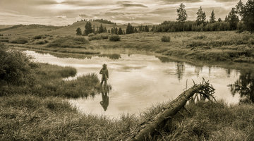 The Value of Observation