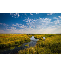 Winston Tom Morgan Favorite 8’0” 4 Weight