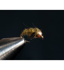 Caddis Pupa
